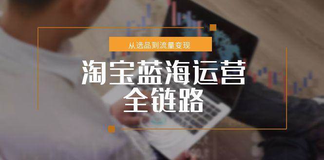 淘宝蓝海运营全链路，从选品到流量变现，小类目突围完整方案-创客空间