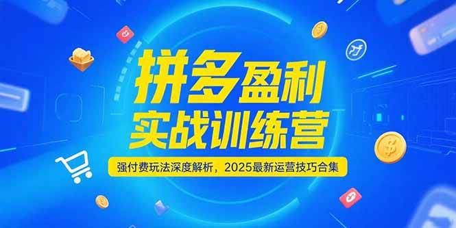 拼多多盈利实战训练营，强付费玩法深度解析，2025最新运营技巧合集-创客空间