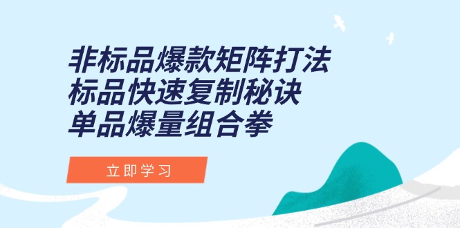 （15068期）非标品爆款矩阵打法，标品快速复制秘诀，单品爆量组合拳-创客空间