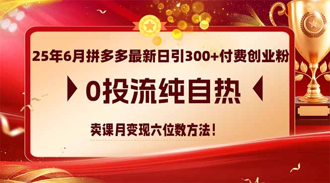 （14989期）25年6月拼多多最新日引300+付费创业粉，0投流纯自热 卖课月变现六位数方法-创客空间