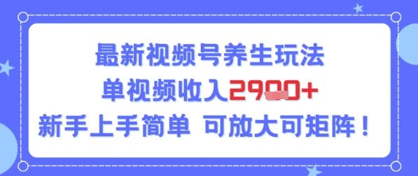 视频号养生玩法，单视频收入2.9k，新手上手简单-创客空间