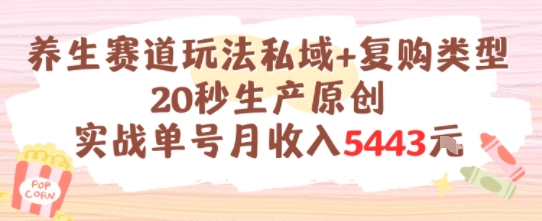 养生赛道玩法私域+复购类型，20秒生产原创实战单号月收入5k+-创客空间