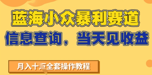 蓝海小众暴利赛道，信息查询，当天见收益，不讲玄学，7天搞了2W+-创客空间