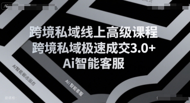 跨境私域线上高级课程，跨境私域极速成交3.0+Ai智能客服-创客空间