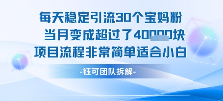 每天稳定引流30个人 当月变成超过了4个W项目流程非常简单适合小白-创客空间