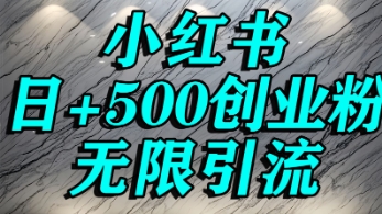 小红书无限引流创业粉，单人操作日引500+精准创业粉-创客空间
