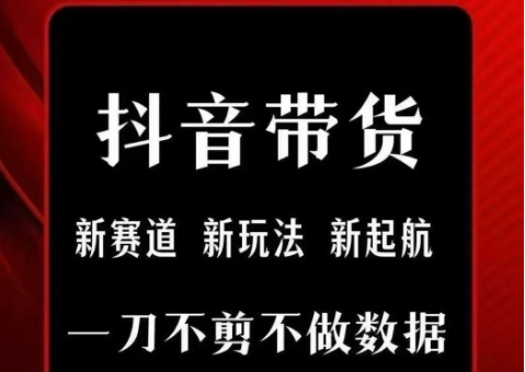抖音短视频一刀不剪带货，不剪辑，不直播，每天发个视频，等着出单获取带货佣金-创客空间
