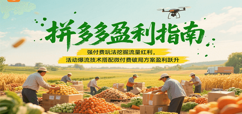 拼多多盈利指南：强付费玩法挖掘流量红利，活动爆流技术搭配微付费方案实现盈利跃升-创客空间