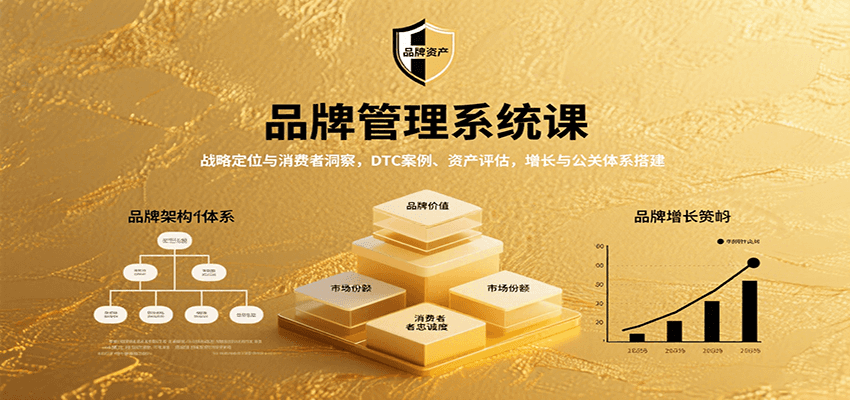 品牌管理系统课：战略定位与消费者洞察，DTC案例、资产评估，增长与公关体系搭建-创客空间