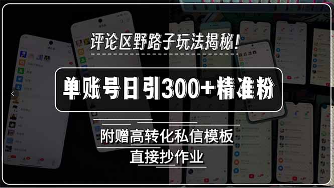 （15466期）评论区野路子玩法揭秘！单账号日引300+精准粉，附赠高转化私信模板，直…-创客空间