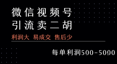 视频号卖二胡教程，利润大 易成交 售后少，一单利润5张+-创客空间