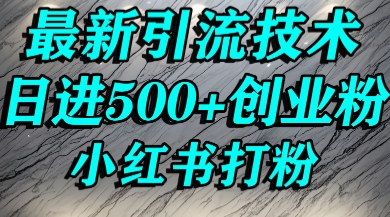 小红书精准引流创业粉，前辈求带孩子走投无路了，单人操作日引500+精准创业粉-创客空间