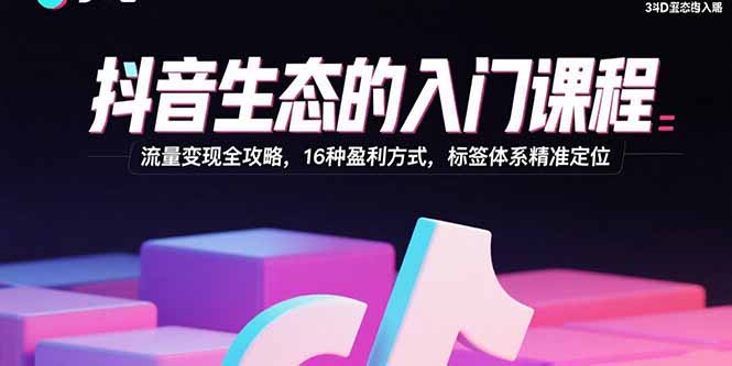 （15856期）抖音生态的入门课程：流量变现全攻略，16种盈利方式，标签体系精准定位-创客空间