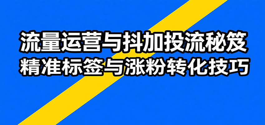 流量运营与抖加投流秘笈，含算法解析、爆款打造、精准标签与涨粉转化技巧-创客空间