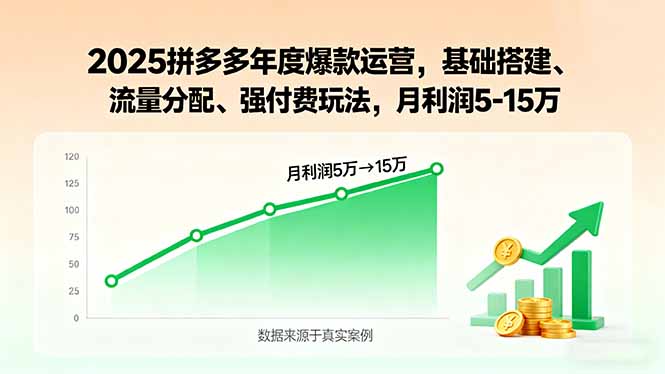 （15973期）2025拼多多年度爆款运营，基础搭建、流量分配、强付费玩法，月利润5-15万-创客空间